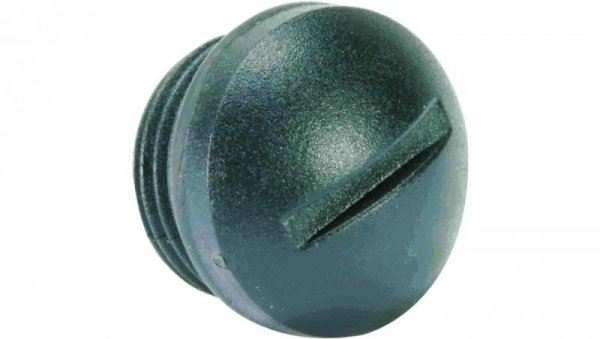 Zaślepka M12 21010000003