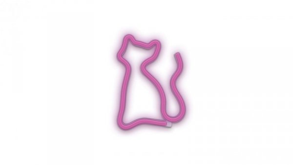 Neon LED KOT różowy Bat + USB FLNEO4 Forever Light