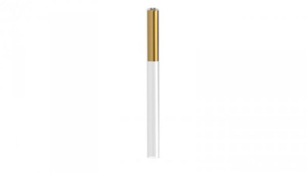Klosz CAMELEON STRAW M gold 8403 Nowodvorski