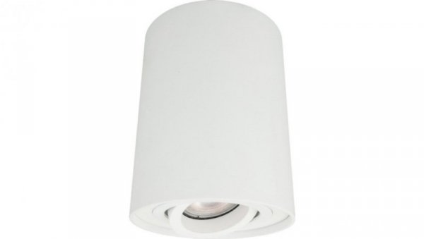 LAMPA NATYNKOWA SPOT TUBA BIAŁA REGULOWANA