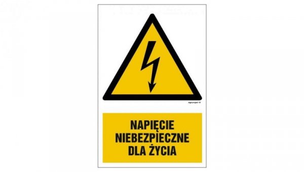 ZNAK - HA002 Napięcie niebezpieczne dla życia - arkusz 9 naklejek 5 x 7,5 cm FN - Folia samoprzylepna