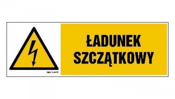 ZNAK - HB011 Ładunek szczątkowy 30 x 10 cm FN - Folia samoprzylepna