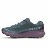 Obuwie Sportowe Męskie Merrell Agility Peak 5 Fioletowy