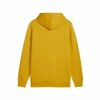 Bluza z kapturem Męska Puma Ess+ 2 Col Big Logo