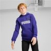 Bluza z kapturem Dziecięca Puma Essentials+ 2 Col Big Logo Niebieski