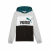 Bluza z kapturem Dziecięca Puma Essentials Block