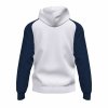 Bluza z kapturem Dziecięca Joma Sport Academy IV