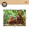 układanka puzzle Colorbaby Orangutan 6 Sztuk 68 x 50 x 0,1 cm