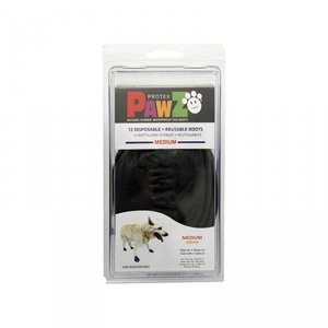 Buty Pawz Pies Czarny 12