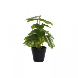 Roślina Dekoracyjna DKD Home Decor PVC polipropylen 20 x 20 x 30 cm