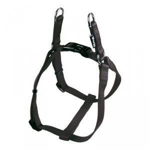 Szelki dla psa Gloria Gładki Ajustable 35-51 cm Czarny Rozmiar S