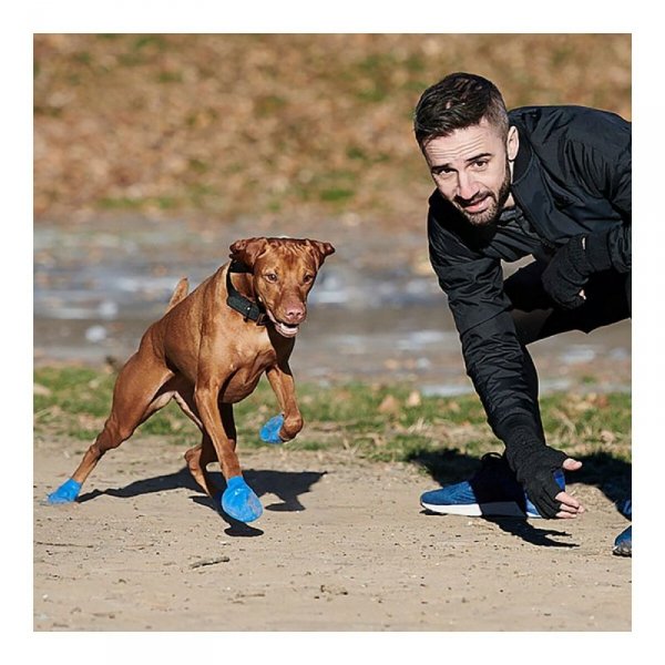 Buty Pawz Pies 12 Sztuk Rozmiar XL Kolor Zielony