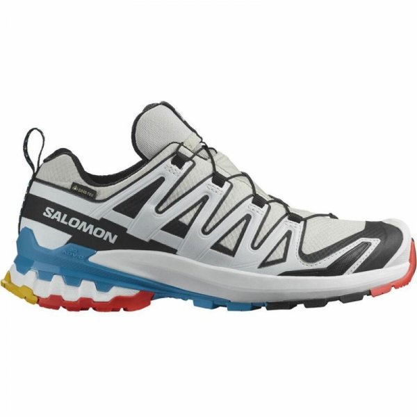 Obuwie do Biegania dla Dorosłych Salomon XA Pro 3D V9 GTX Biały