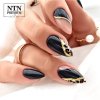 Lakier hybrydowy Ntn Premium Romantica Collection 5g Nr 101