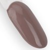 Lakier hybrydowy Ntn Premium Show Collection 5g Nr 111