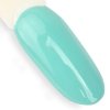 Lakier hybrydowy NTN Premium Garden Party Collection 5g Nr 177