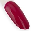 Lakier hybrydowy Ntn Premium Passion for Love Collection 5g Nr 204