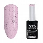 Lakier hybrydowy NTN Premium Sugar Puff 186 5 g