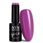 NTN Premium Lakier Hybrydowy 5 ml - Uptown Girl Collection Nr 20