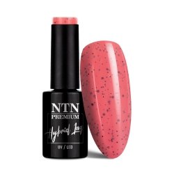 Lakier hybrydowy NTN Premium Sugar Puff Collection 5g Nr 187