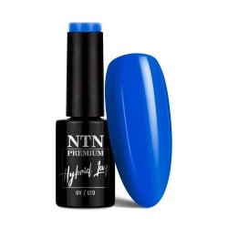 Lakier hybrydowy NTN Premium Springtime selfie 5g Nr 287