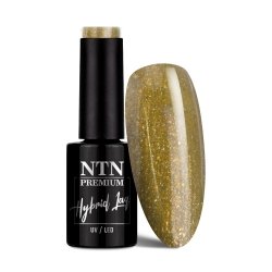Lakier hybrydowy Ntn Premium Celebration Collection 5g Nr 170