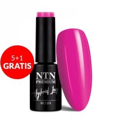 Lakier hybrydowy Ntn Premium Delight Sorbet Collection 5g Nr 150