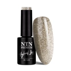 Lakier hybrydowy Ntn Premium Celebration Collection HEMA/Di-HEMA Free 5g Nr 169
