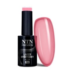 Lakier hybrydowy Ntn Premium Romantica Collection 5g Nr 108