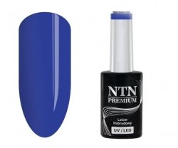 Lakier hybrydowy NTN Premium Fiesta Collection 5G NR 75