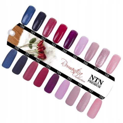 Lakier hybrydowy NTN Premium Romantica 101 5g