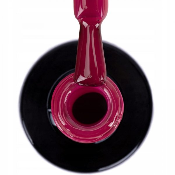 LAKIER HYBRYDOWY NTN PREMIUM CELEBRATION 5G NR 171