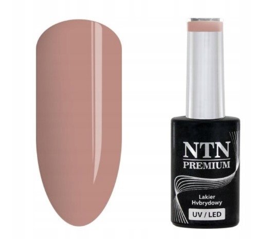 Lakier hybrydowy Ntn Premium Splash Collection 5g Nr 119