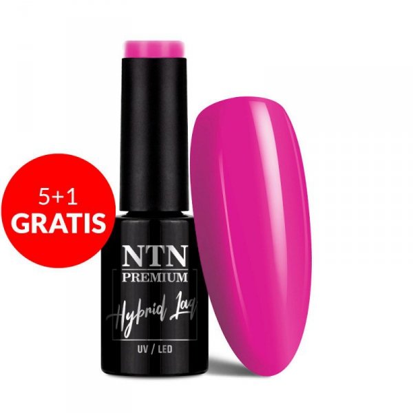 Lakier hybrydowy Ntn Premium Delight Sorbet Collection 5g Nr 150