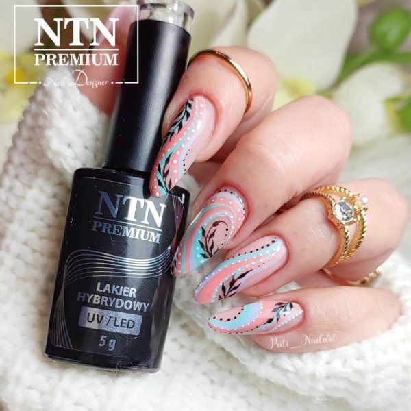 Lakier hybrydowy Ntn Premium Dessert Collection 5g Nr 95