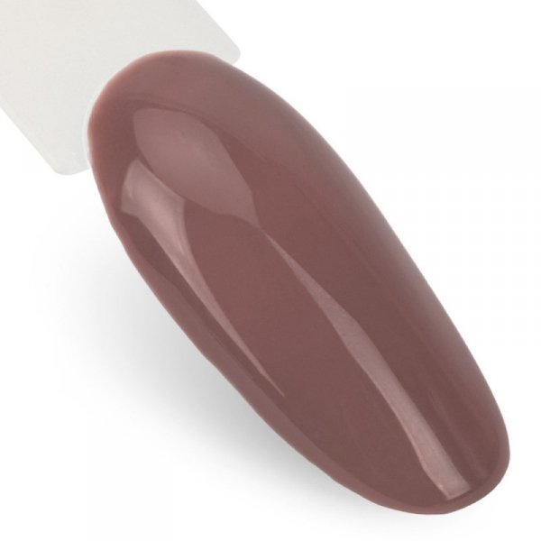 Lakier hybrydowy Ntn Premium Milkshake 5g Nr 312