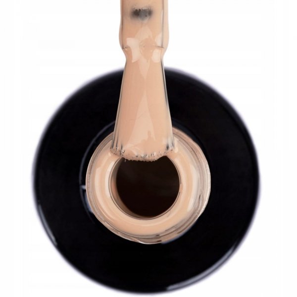 Lakier hybrydowy lakier kolorowy Ntn 62 5 g