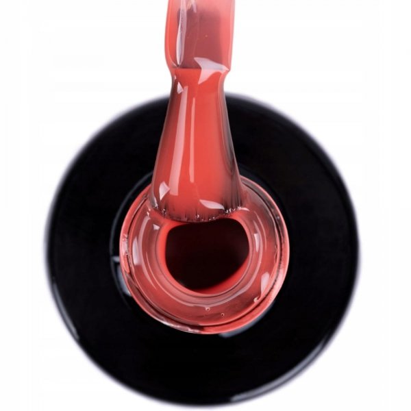 NTN lakier hybrydowy do paznokci kolor nr 291 5g