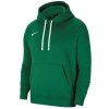 Bluza Nike Park 20 Fleece Hoodie Junior CW6896 302 zielony S (128-137cm)