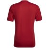 Koszulka adidas ENTRADA 22 GFX JSY HB0572 czerwony XL