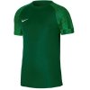Koszulka piłkarska Nike Dri-Fit Academy JSY Jr DH8369 302 zielony M (137-147cm)