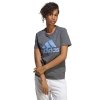 Koszulka adidas Big Logo Tee IC0634 szary XS
