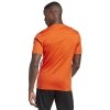 Koszulka adidas Tabela 23 IB4927 pomarańczowy XXL