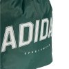 Worek na buty i odzież adidas VAR JG1083 zielony 