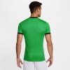 Koszulka Nike Academy 25 SS Top FZ9754-329 zielony L