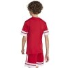 Koszulka adidas SQUADRA 25 JSY Jr JJ0051 czerwony 176 cm