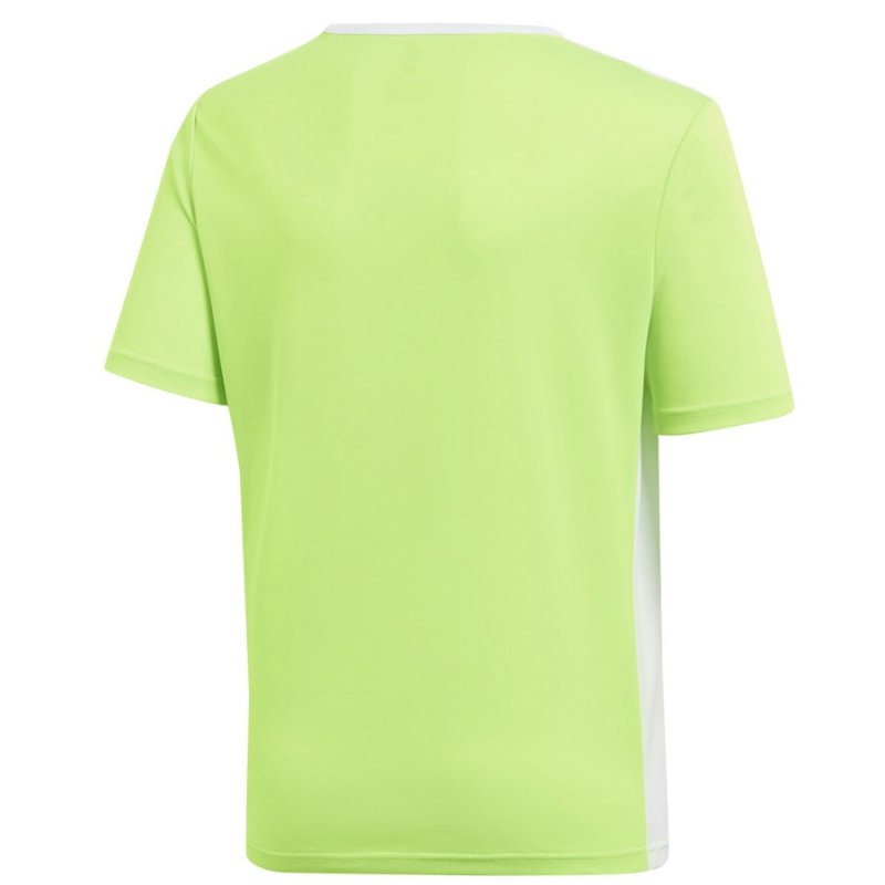 Koszulka adidas Entrada 18 JSY Y CE9755 zielony 176 cm