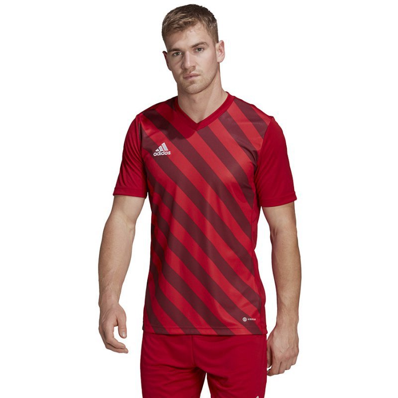 Koszulka adidas ENTRADA 22 GFX JSY HB0572 czerwony XXXL