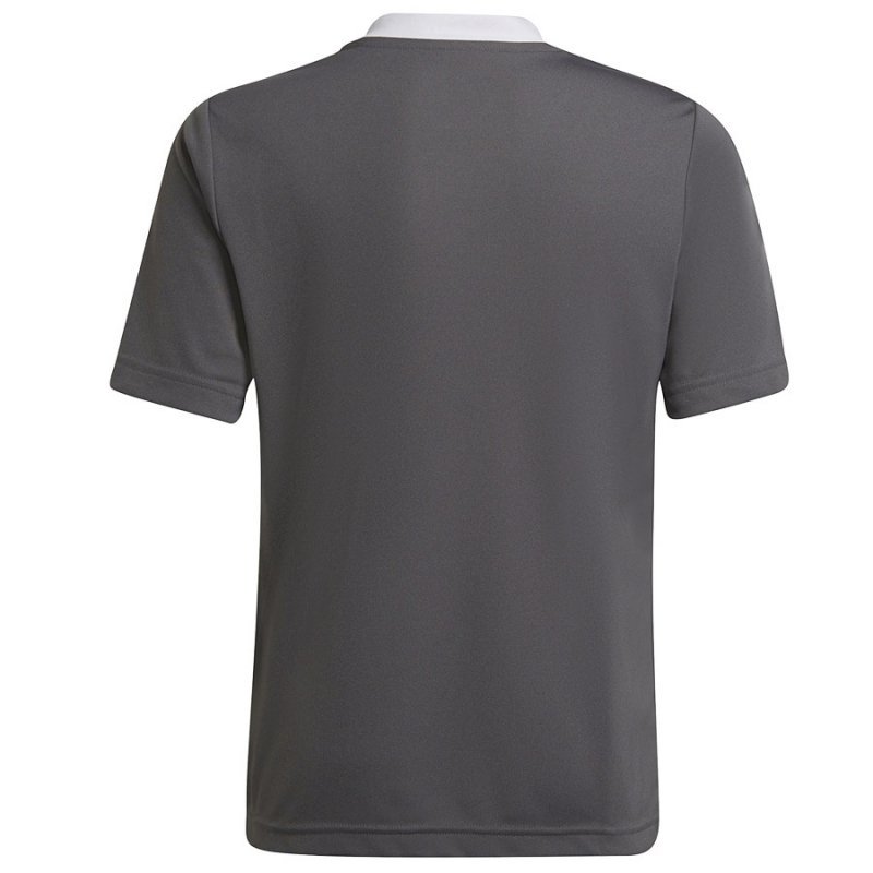 Koszulka adidas ENTRADA 22 JSY Y H57499 szary 152 cm