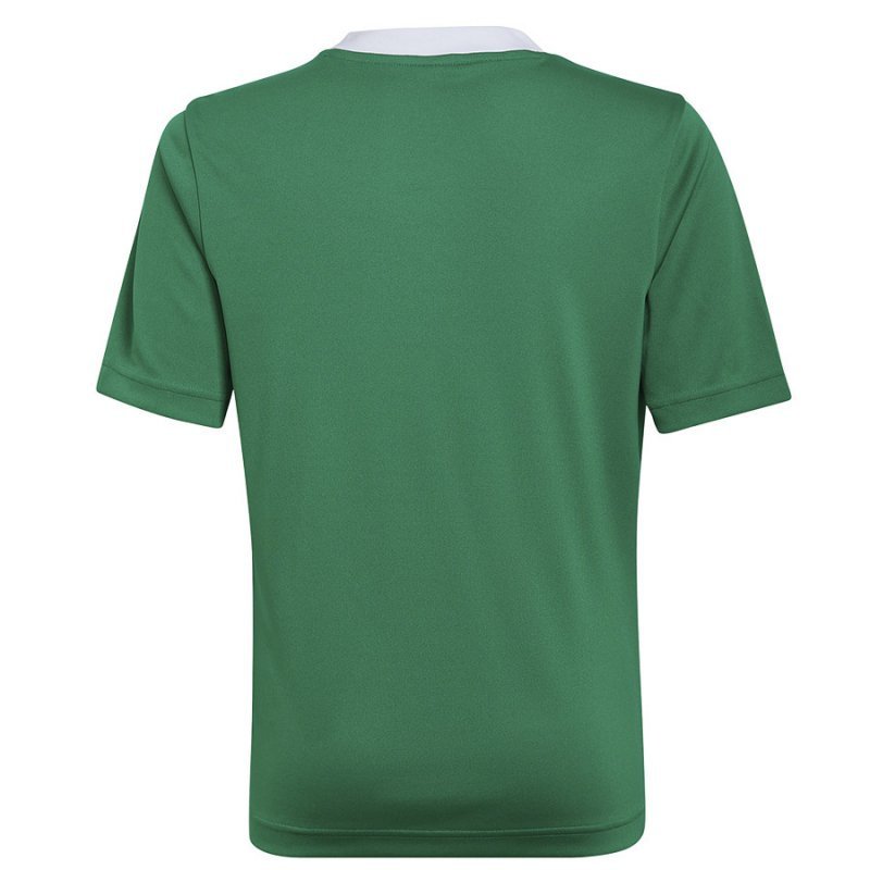 Koszulka adidas ENTRADA 22 JSY Y HI2126 zielony 176 cm